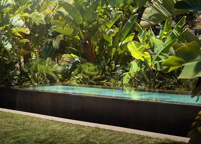 Bright Oceanfront Bungalow, Views, Garden, Coastal Casa vacanze *