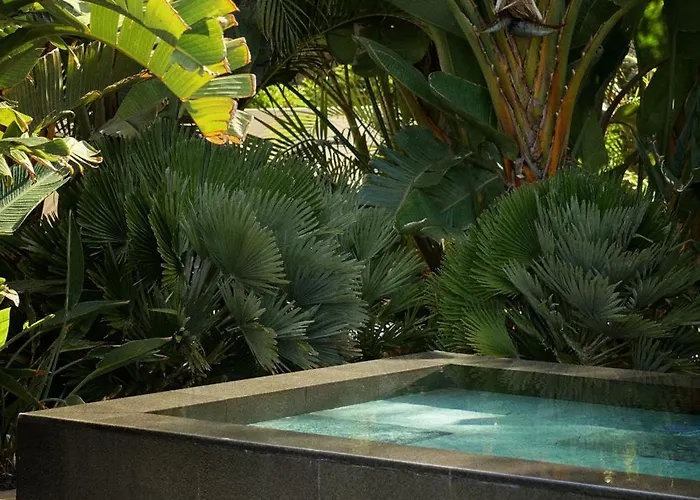 Bright Oceanfront Bungalow, Views, Garden, Coastal *