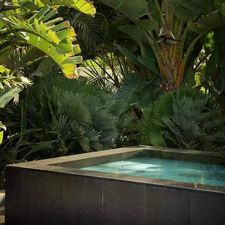 Bright Oceanfront Bungalow, Views, Garden, Coastal *